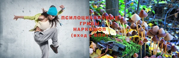 mix Алексин