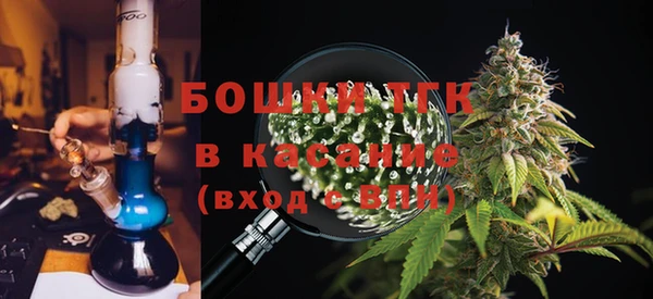 дживик Семилуки