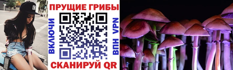 Галлюциногенные грибы Magic Shrooms  МЕГА ССЫЛКА  Глазов  цены  