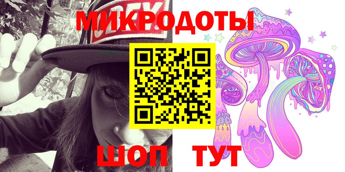 где найти   Глазов  Псилоцибиновые грибы Psilocybe 