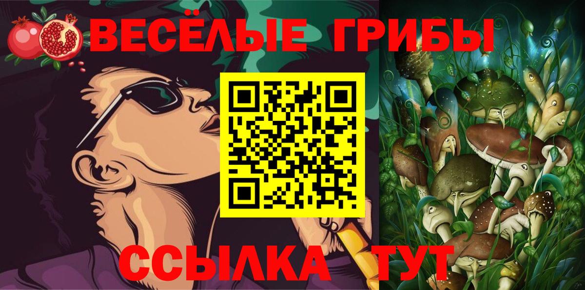 Глазов  Галлюциногенные грибы Psilocybe  Вход с VPN 